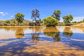 Pond after several days of rain, Namibia, Africa