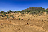Landscape of Namibia, Africa