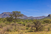 Landscape of Namibia, Africa