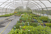 Preparing seedlings for transplanting, Ecole du Breuil, Paris, France