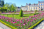 Tulips in the Jardin des Plantes, Le Mans, Sarthe, France