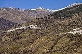 White villages of the Alpujarras in Andalusia's Sierra Nevada. Capileira, 1,436 m above sea level on the southern slopes of the Sierra Nevada. On the right, the village of Bubion. Spain