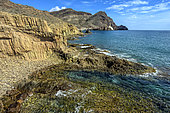 Andesite columns in the Cabo de Gata Geopark, Andalusia. Andesites with columnar disjunction in the Punta Baja dome. Basaltic organ-like appearance, but very different nature and formation, on the surface of a large dome. Cabo de Gata volcanic complex (Geopark)