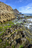 Andesite columns in the Cabo de Gata Geopark, Andalusia. Andesites with columnar disjunction in the Punta Baja dome. Basaltic organ-like appearance, but very different nature and formation, on the surface of a large dome. Cabo de Gata volcanic complex (Geopark)