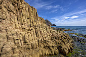 Andesite columns in the Cabo de Gata Geopark, Andalusia. Andesites with columnar disjunction in the Punta Baja dome. Basaltic organ-like appearance, but very different nature and formation, on the surface of a large dome. Cabo de Gata volcanic complex (Geopark)