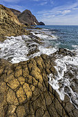 Andesite columns in the Cabo de Gata Geopark, Andalusia. Andesites with columnar disjunction in the Punta Baja dome. Basaltic organ-like appearance, but very different nature and formation, on the surface of a large dome. Cabo de Gata volcanic complex (Geopark)