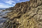 Andesite columns in the Cabo de Gata Geopark, Andalusia. Andesites with columnar disjunction in the Punta Baja dome. Basaltic organ-like appearance, but very different nature and formation, on the surface of a large dome. Cabo de Gata volcanic complex (Geopark)