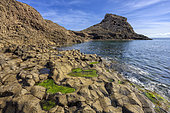 Andesite columns in the Cabo de Gata Geopark, Andalusia. Andesites with columnar disjunction in the Punta Baja dome. Basaltic organ-like appearance, but very different nature and formation, on the surface of a large dome. Cabo de Gata volcanic complex (Geopark)