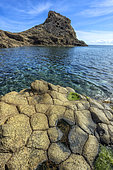 Andesite columns in the Cabo de Gata Geopark, Andalusia. Andesites with columnar disjunction in the Punta Baja dome. Basaltic organ-like appearance, but very different nature and formation, on the surface of a large dome. Cabo de Gata volcanic complex (Geopark)