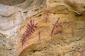 Rock engraving in a rock shelter in Andalusia. Las Piedras de Cabrera complex north of Malaga - Early Chalcolithic period, between 2600 and 2300 B.C. - Spain