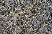 Lichens and gypsum macrocrystals from the Sorbas Karst in Andalusia. The Sorbas gypsum karst is unique in Europe. The aridity of the region, close to the Tabernas desert, means that layers of gypsum, carved out by erosion into karst like limestone, remain on the surface. This gypsum was formed when the Mediterranean dried up during the Messinian crisis in the Miocene (-6 Ma), leaving behind huge evaporite deposits.