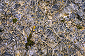 Lichens and gypsum macrocrystals from the Sorbas Karst in Andalusia. The Sorbas gypsum karst is unique in Europe. The aridity of the region, close to the Tabernas desert, means that layers of gypsum, carved out by erosion into karst like limestone, remain on the surface. This gypsum was formed when the Mediterranean dried up during the Messinian crisis in the Miocene (-6 Ma), leaving behind huge evaporite deposits.