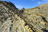 Flysch in the Tabernas Desert, Andalusia (Spain). Barranco del infierno - Alternating sandstones and marls deposited in the Miocene ( - 8 Ma) in a sedimentary basin at the foot of the Sierra Nevada, then folded and straightened by recent tectonics. The arid climate of the Tabernas makes it Europe's only desert, expanding as a result of the increasing drought in southern Spain.