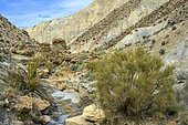 Landscape of the Tabernas Desert, Andalusia (Spain). An ancient Miocene sedimentary basin (- 8Ma) at the foot of the Sierra Nevada. The arid climate of the Tabernas makes it Europe's only desert, expanding as a result of the increasing drought in southern Spain.