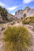 Landscape of the Tabernas Desert, Andalusia (Spain). An ancient Miocene sedimentary basin (- 8Ma) at the foot of the Sierra Nevada. The arid climate of the Tabernas makes it Europe's only desert, expanding as a result of the increasing drought in southern Spain.