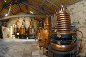 The stills, Ecomuseum of the Country of the Cherry, Fougerolles-Saint-Valbert, Fougerolles, Haute Saone, France