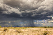 Heavy skies before the storm, Namibia, Africa