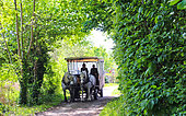 Carriage in the countryside, the ark of nature, Sarthe, France