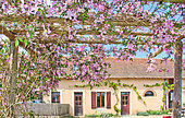 House in the flowers of the nature arch, Le Mans metropole Sarthe, France