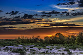 Namibian landscape at sunset, Africa