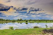 Heavy skies before the storm, Kavango West, Namibia, Africa