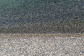 Beach made of seashell debris, Etang de Berre, Anse de Figuerolles, Martigues, Bouches-du-Rhone, France