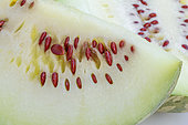 Citron melon (Citrullus amarus) slice