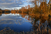 Pond in winter, Dambenois, Doubs, France