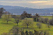 Orchard and agglomeration of the Pays de Montbéliard, Brognard plateau, Doubs, France