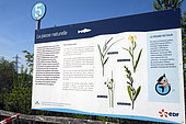 Panel, fsh pass, lock, hydroelectric power station on Rohrschollen Island, Strasbourg, Bas-Rhin, France