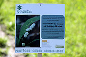 Sign, limited lily of the valley picking, path,, Rohrschollen Island National Nature Reserve, the Old Rhine, Strasbourg, Bas-Rhin, France