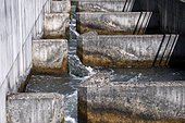 Fish pass, lock, hydroelectric power station on Rohrschollen Island, Strasbourg, Bas-Rhin, France