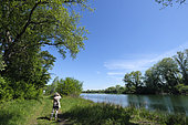 Rohrschollen Island National Nature Reserve, the Old Rhine, Strasbourg, Bas-Rhin, France