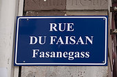 Rue du Faisan, street sign, in French and Alsatian, Strasbourg, Bas-Rhin, France