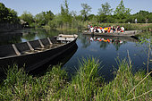 Boat trip with flat bottom, Ecomuseum of Alsace, Ungersheim, Haut Rhin, France