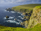Hermaness National Nature Reserve on Unst, famous for its colonies of seabirds (Northern gannet, Morus bassanus, Atlantic puffin, Fratercula arctica) and the wild coastal landscape. Europe, Great Britain, Scotland, Shetland Islands