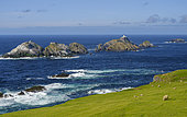 Lighthouse on Muckle Flugga, northermost point of the british isles . Hermaness National Nature Reserve on Unst. Europe, Great Britain, Scotland, Shetland Islands