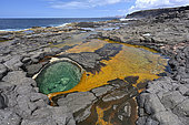 Los Charcones natural swimming pool, Lanzarote Island, Canary Islands