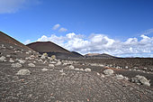 El Golfo walk, Playa del Paso, Montaña Quemada, View of Pedro Perico's Montana, Timanfaya National Park, Lanzarote Island, Canary Islands