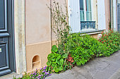 Townhouse garden on the sidewalk, a need for greenery, Le Mans, Sarthe, France