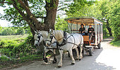 Carriage in the countryside, the ark of nature,Le Mans métropole, Sarthe, France