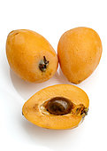 Loquat (Eriobotrya japonica) 'Algar' fruits