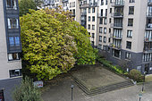 Trees in Parc Albert II between apartment buildings in a residential area at the level of a pedestrian street in autumn as seen from Rue Rodin in the Ixelles district of Brussels, Belgium