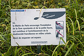 Sign from the Paris city Hall concerning the ecological management of the Pere Lachaise cemetery in the 20th arrondissement of Paris, France on 19 November 2024.