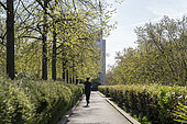 A person seen from behind practicing sport by running, jogging for leisure, in a green space along the Rene Dumont greenway in Paris, France.