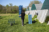 A volunteer market gardener on a sunny Sunday carrying crates in a shared garden in Decines, France on 6 April 2025. Collective garden run by the association Les Pot'iront, a shared organic market garden near Lyon.