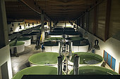 Fish farms at the Conservatoire National du Saumon Sauvage in Chanteuges, France.