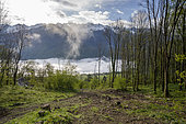 Mountain landscape in the Alps in Savoie at sunrise with a view of the snow-covered Loziere massif and a sea of clouds seen from Saint Alban d'Hurtieres, France. Belledonne massif in the Alps, Maurienne valley.
