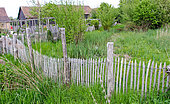 Chestnut wood ganivelle fence separating two plots of land in the countryside, Sarthe France