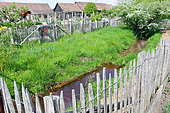 Ruisseau à l'arche de la nature, Le Mans métropole, Sarthe, France